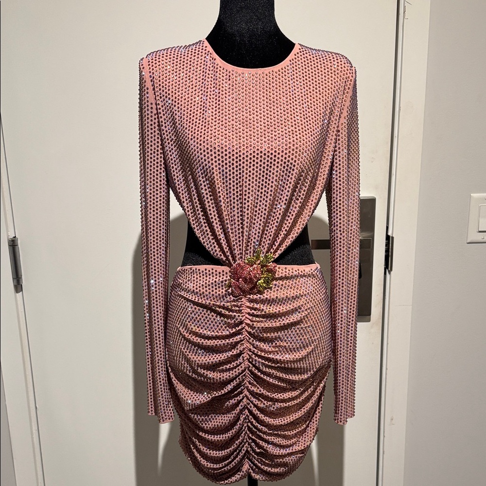 AKIRA Pink Mesh Long Sleeve Dress